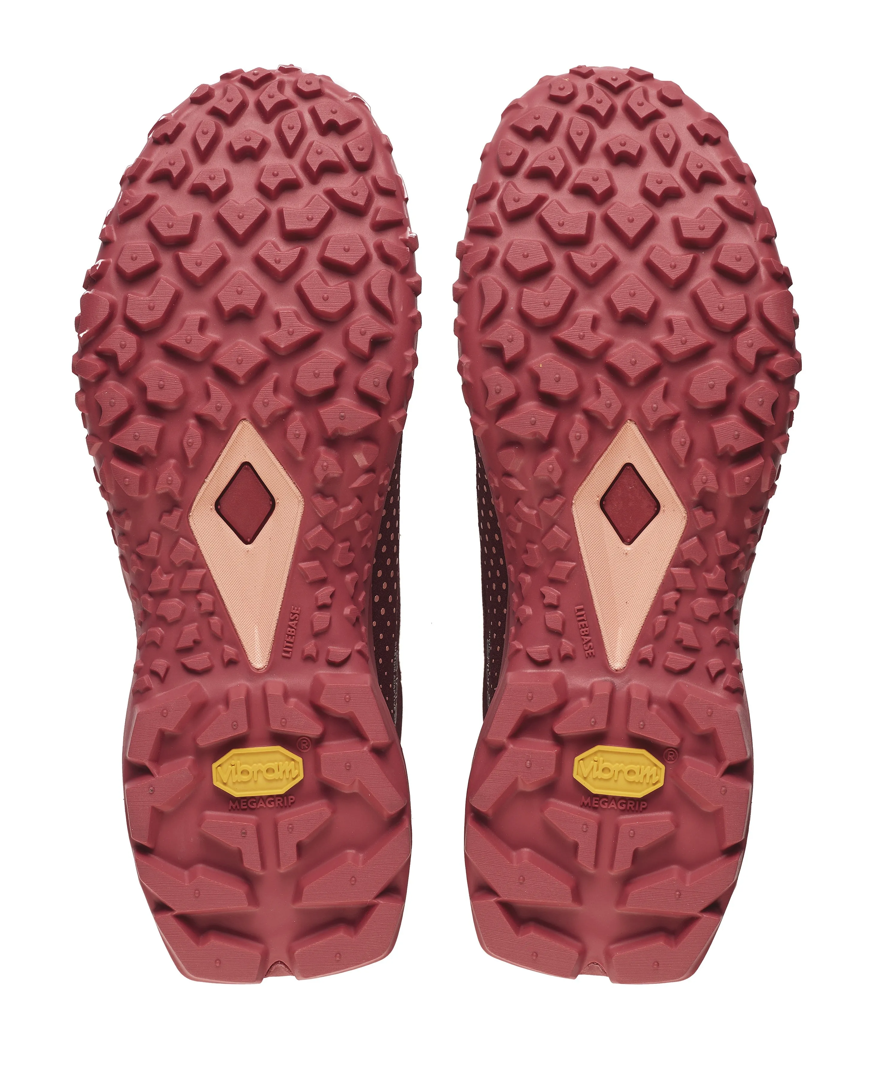 shoes Tecnica Magma S GTX WS - Deep Bacca/Pure Bacca - women´s